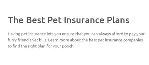 emergency pet insurance no waiting period